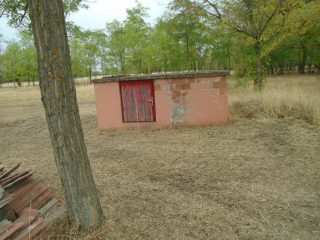 Eladó 9727 m²-esmezőgazdasági ingatlan Tiszakécske, Székhalom dűlő: 12'900'000 Ft