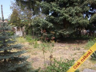 Eladó 145 m²-escsaládi ház Tiszakécske, Táncsics Mihály utca: 41'900'000 Ft