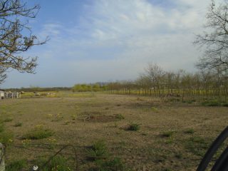 Eladó 26 m²-escsaládi ház Tiszakécske, Tiszabög utca: 11'900'000 Ft