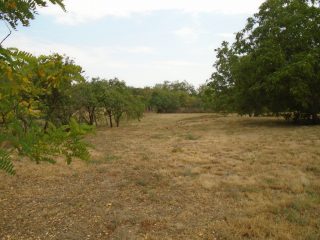 Eladó 2858 m²-estelek Tiszaug, Arany János út: 8'500'000 Ft