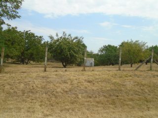 Eladó 2858 m²-estelek Tiszaug, Arany János út: 8'500'000 Ft