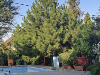 Eladó 220 m²-escsaládi ház Üllő, Többgenerációs: 135'000'000 Ft