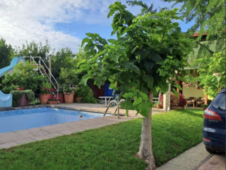 Eladó 220 m²-escsaládi ház Üllő, Többgenerációs: 135'000'000 Ft