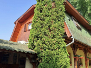 Eladó 220 m²-escsaládi ház Üllő, Többgenerációs: 135'000'000 Ft