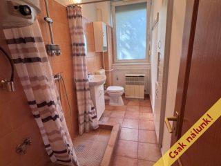 Eladó 55 m²-estársasházi lakás Vác, Degré Alajos utca: 61'500'000 Ft