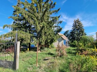 Eladó 4406 m²-estelek Vác, Felső-Törökhegy út: 85'917'000 Ft