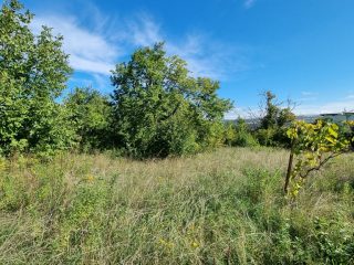 Eladó 4406 m²-estelek Vác, Felső-Törökhegy út: 85'917'000 Ft