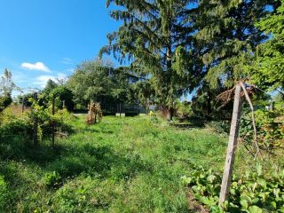 Eladó 4406 m²-estelek Vác, Felső-Törökhegy út: 85'917'000 Ft