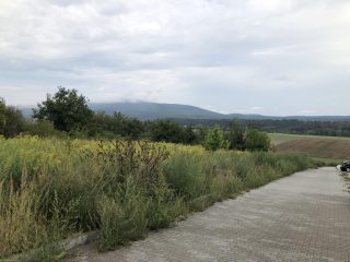 Eladó 4406 m²-estelek Vác, Felső-Törökhegy út: 85'917'000 Ft