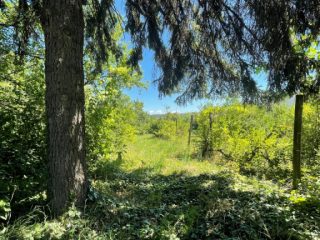 Eladó 4406 m²-estelek Vác, Felső-Törökhegy út: 85'917'000 Ft