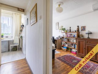 Eladó 49 m²-estársasházi lakás Vác, Kötő utca: 53'500'000 Ft