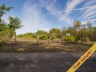 Eladó 5167 m²-esmezőgazdasági ingatlan Vác, Külterület: 15'500'000 Ft