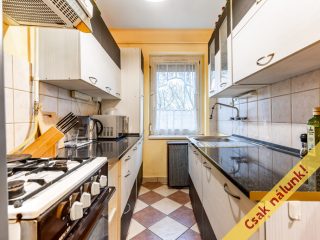 Eladó 50 m²-estársasházi lakás Vác, Negyvennyolcasok útja: 54'900'000 Ft