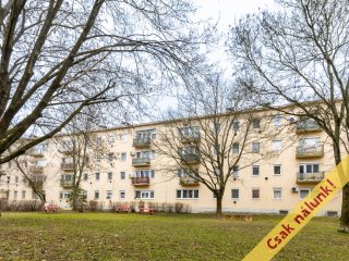 Eladó 50 m²-estársasházi lakás Vác, Negyvennyolcasok útja: 54'900'000 Ft