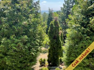 Eladó 49 m²-esüdülő Vác, Nyulas: 23'000'000 Ft