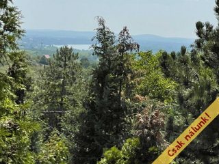 Eladó 49 m²-esüdülő Vác, Nyulas: 23'000'000 Ft