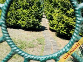 Eladó 49 m²-esüdülő Vác, Nyulas: 23'000'000 Ft