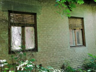 Eladó 16215 m²-estelek Vác, Papvölgy utca: 100'000'000 Ft