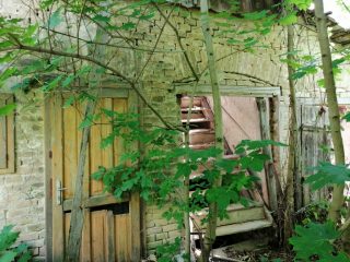 Eladó 16215 m²-estelek Vác, Papvölgy utca: 100'000'000 Ft