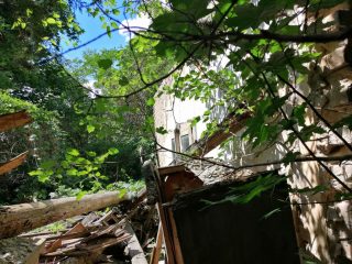 Eladó 16215 m²-estelek Vác, Papvölgy utca: 100'000'000 Ft