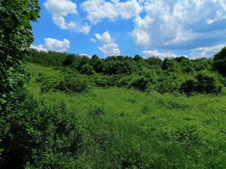 Eladó 16215 m²-estelek Vác, Papvölgy utca: 100'000'000 Ft