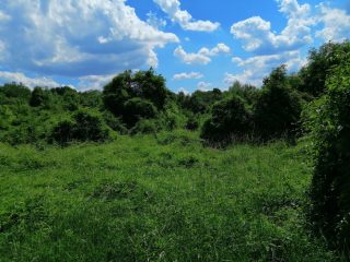 Eladó 16215 m²-estelek Vác, Papvölgy utca: 100'000'000 Ft