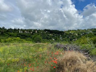 Eladó 2915 m²-esmezőgazdasági ingatlan Vác, Vác, Diosvölgy utca: 10'500'000 Ft