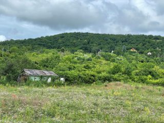 Eladó 2915 m²-esmezőgazdasági ingatlan Vác, Vác, Diosvölgy utca: 10'500'000 Ft