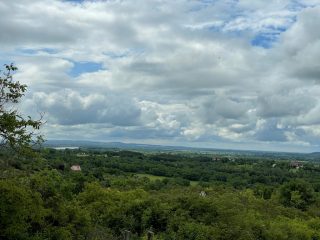 Eladó 2915 m²-esmezőgazdasági ingatlan Vác, Vác, Diosvölgy utca: 10'500'000 Ft