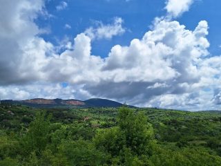 Eladó 2915 m²-esmezőgazdasági ingatlan Vác, Vác, Diosvölgy utca: 10'500'000 Ft