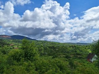 Eladó 2915 m²-esmezőgazdasági ingatlan Vác, Vác, Diosvölgy utca: 10'500'000 Ft