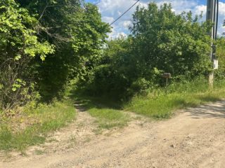 Eladó 2915 m²-esmezőgazdasági ingatlan Vác, Vác, Diosvölgy utca: 10'500'000 Ft