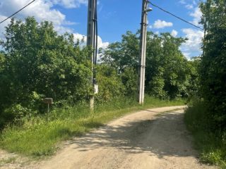 Eladó 2915 m²-esmezőgazdasági ingatlan Vác, Vác, Diosvölgy utca: 10'500'000 Ft