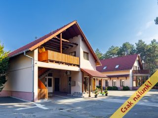 Eladó 1520 m²-esegyéb vendéglátó egység Vác, Vám utca: 450'000'000 Ft