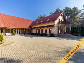 Eladó 1520 m²-esegyéb vendéglátó egység Vác, Vám utca: 450'000'000 Ft