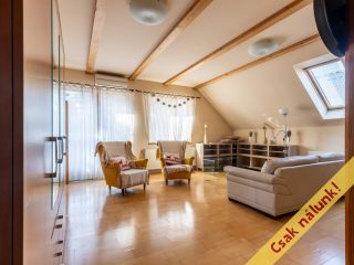 Eladó 1520 m²-esegyéb vendéglátó egység Vác, Vám utca: 450'000'000 Ft