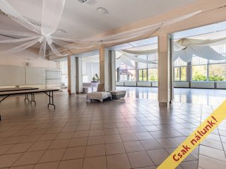 Eladó 1520 m²-esegyéb vendéglátó egység Vác, Vám utca: 450'000'000 Ft