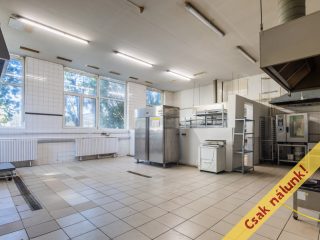 Eladó 1520 m²-esegyéb vendéglátó egység Vác, Vám utca: 450'000'000 Ft