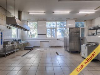 Eladó 1520 m²-esegyéb vendéglátó egység Vác, Vám utca: 450'000'000 Ft