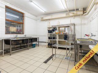 Eladó 1520 m²-esegyéb vendéglátó egység Vác, Vám utca: 450'000'000 Ft