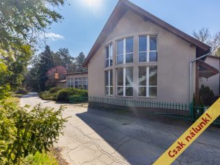 Eladó 1520 m²-esegyéb vendéglátó egység Vác, Vám utca: 450'000'000 Ft