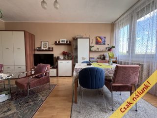 Eladó 52 m²-estársasházi lakás Vác, Vám utca: 55'900'000 Ft