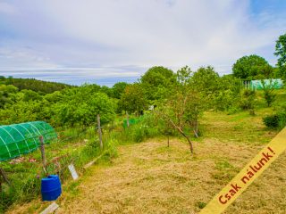 Eladó 154 m²-escsaládi ház Vácegres, Szabadság utca: 88'000'000 Ft
