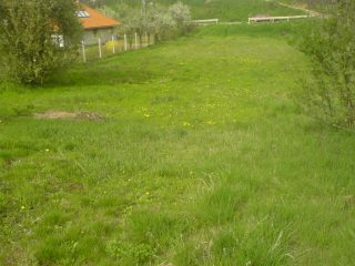 Eladó 1967 m²-estelek Valkó, Széchenyi utca: 12'500'000 Ft