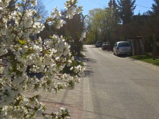 Eladó 45 m²-escsaládi ház Veresegyház, Tópart: 64'000'000 Ft