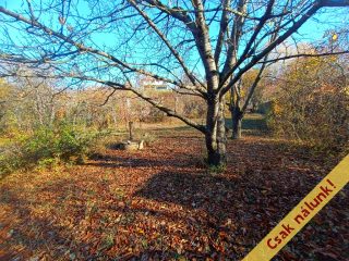 Eladó 813 m²-esmezőgazdasági ingatlan Verőce, Fehérhegy dűlő: 23'900'000 Ft