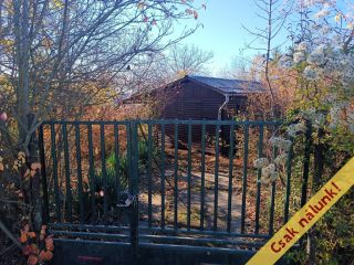 Eladó 813 m²-esmezőgazdasági ingatlan Verőce, Fehérhegy dűlő: 23'900'000 Ft