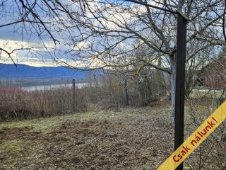 Eladó 813 m²-esmezőgazdasági ingatlan Verőce, Fehérhegy dűlő: 23'900'000 Ft