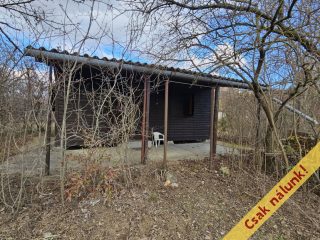 Eladó 813 m²-esmezőgazdasági ingatlan Verőce, Fehérhegy dűlő: 23'900'000 Ft