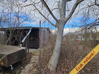 Eladó 813 m²-esmezőgazdasági ingatlan Verőce, Fehérhegy dűlő: 23'900'000 Ft